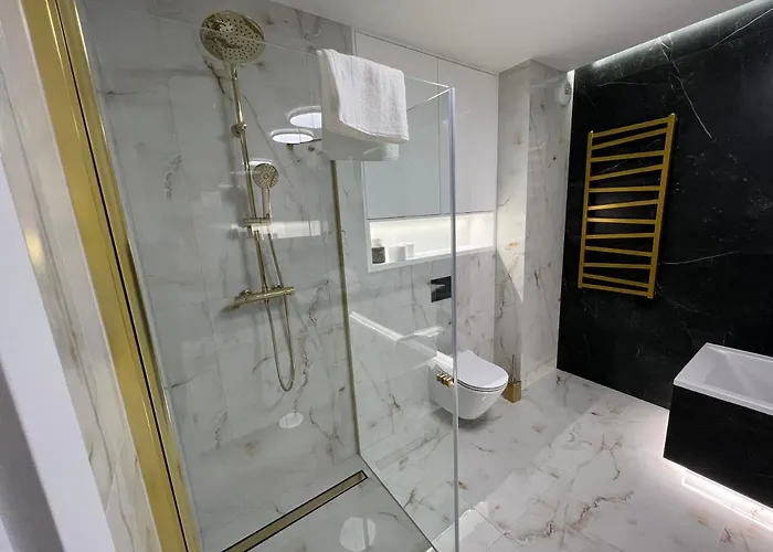 Przy Dmowskiego Nowe Apartment Poznan